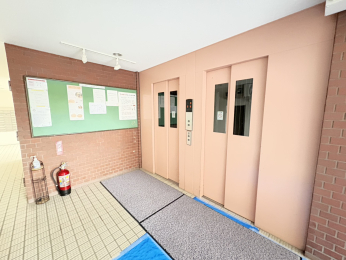 �k�C���D�y�s���攪�����2���ڂ̒��Ã}���V�����̂��̑����p��