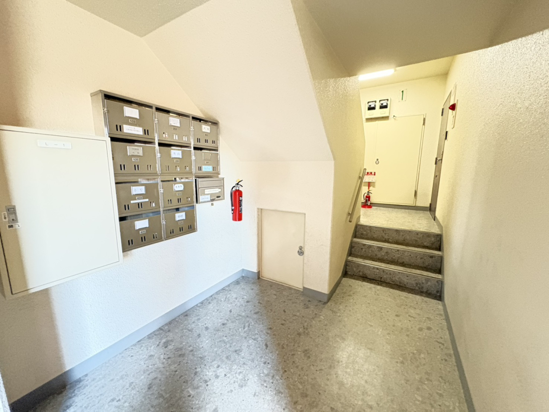 �k�C���D�y�s����{�̑���4���ڂ̒��Ã}���V�����̃��r�[