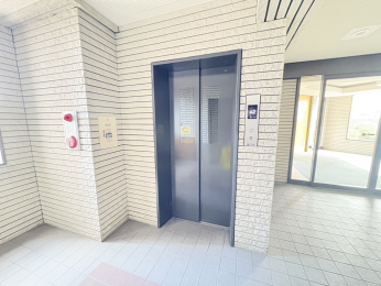 �k�C���D�y�s���攭������5���ڂ̒��Ã}���V�����̂��̑����p��